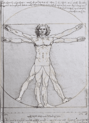 Leonardo da Vinci - Vitruvian Man (Foiled Journal - Pocket)