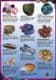 Rock & Mineral Collectors Information Sheet ( Colour Illustrated Chart - A5)