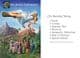 SALE - Peter Loveday - Congratulations - Greetings Card