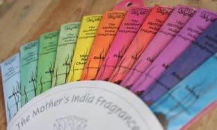 The Mother's India Fragrance Incense Fan Gift Set - 12 Fragrances (72 Mini-Sticks) (Vegan)