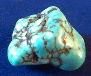 Turquenite (1-2cm) x 1