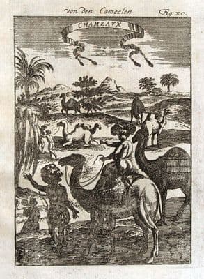EGYPT, CAMELS, CAMEL RIDERS, Mallet original antique print 1719