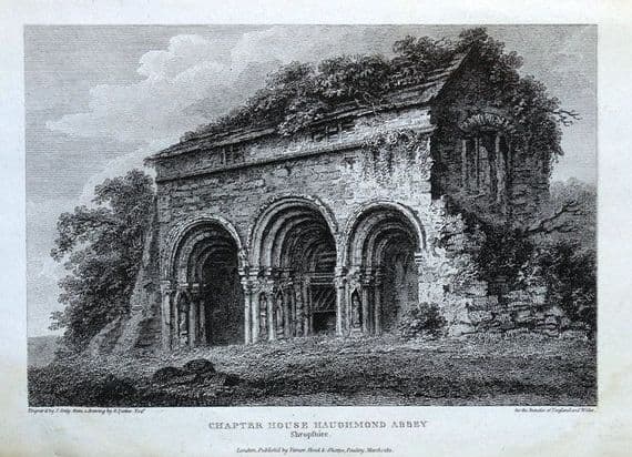 HAUGHMOND ABBEY, SHREWSBURY, SHROPSHIRE original engraving antique print 1811
