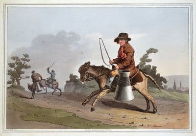 MILK BOY, COSTUME OF YORKSHIRE, Walker original antique print 1814