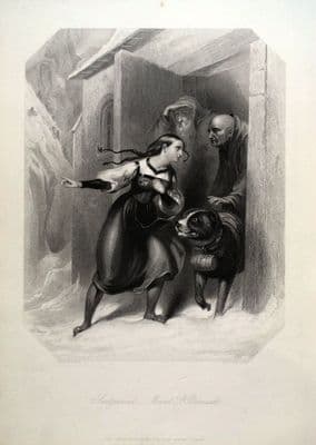 SWITZERLAND, MOUNT St.BERNARD, St. BERNARD DOG  original antique print c1850