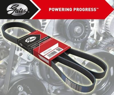 RX8 Gates Alternator Belt 820