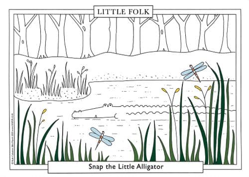 Alligator - Snap the Little Alligator Downloadable Colouring Sheet