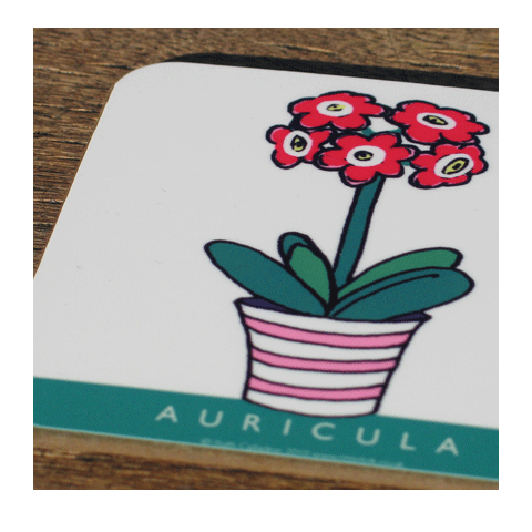 Auricula Coaster - Pink