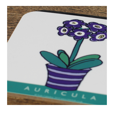 Auricula Coaster - Purple