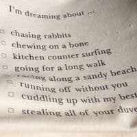 Personalised Fleece Blanket for Puppies and Small to Medium Sized Dogs - I'm Dreaming...