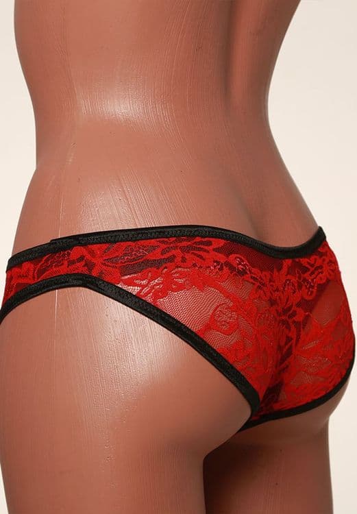 Lace Panty Gaff (for tucking) - Contrasting Colours