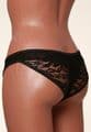 Lace Panty Gaff (for tucking) - Fashion Colours
