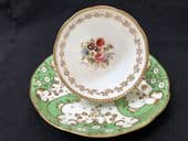 BEAUTIFUL Samuel Alcock tea cup & saucer - HAND PAINTED