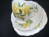 Daffodils tea trio