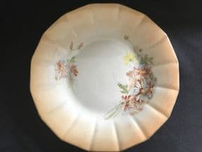 Nautilus blush ivory serving plate