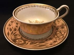 SPODE serpent handle cup & saucer