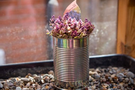 Plant Pots – Box of 48 | Small Metal Plant Pots Made from Tin Cans