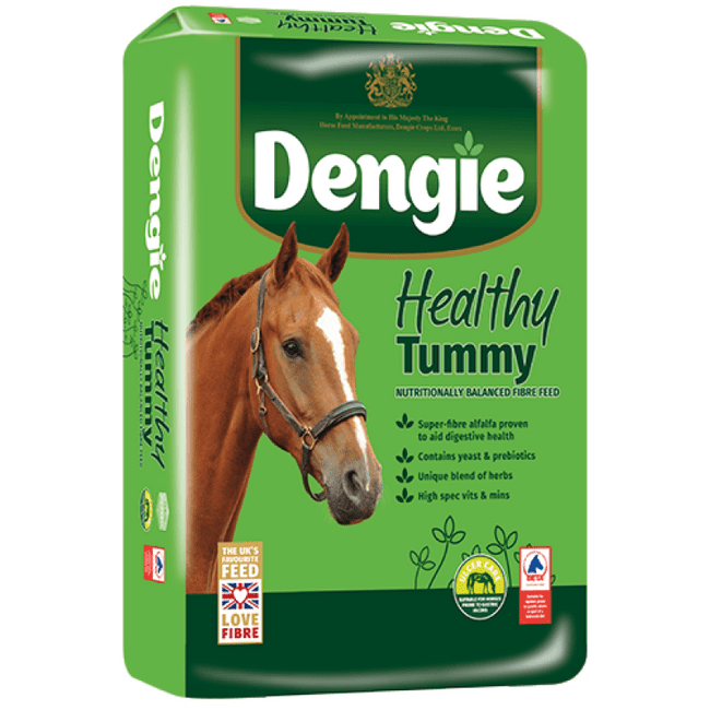 Dengie Healthy Tummy