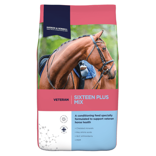 Dodson & Horrell Sixteen Plus Mix