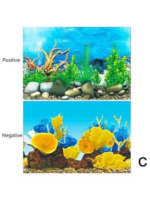 Background for aquarium decoration fish tank 