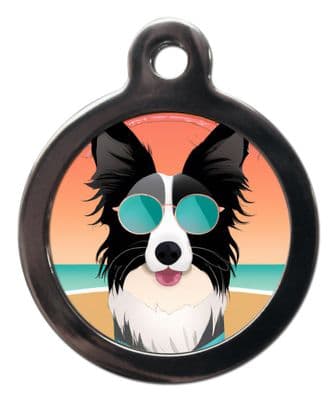 BORDER COLLIE