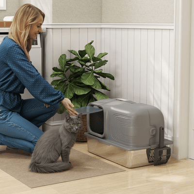 Cat Litter Box