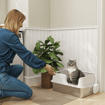 Cat Litter Box (2)