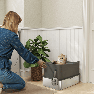 Cat Litter Box (3)