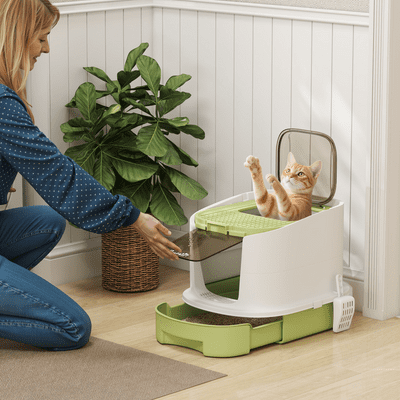 Cat Litter Box (6)