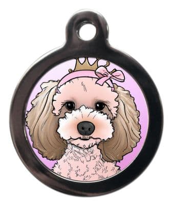 Cockapoo