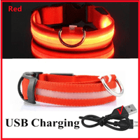 COOYOMOO Adjustable Luminous Dog Collar for Night Safety & Visibility