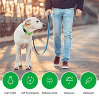 COOYOMOO Adjustable Luminous Dog Collar for Night Safety & Visibility