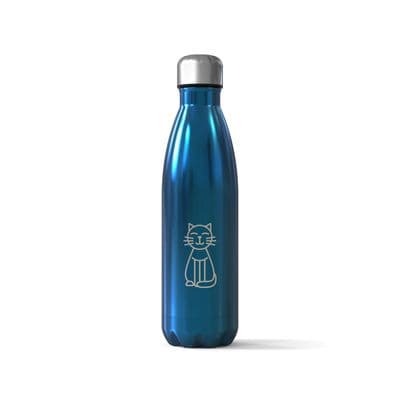 Cute Cat Design 500ml Bottle