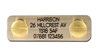 Engraved Bolt on dog ID plate Polished Brass 50mm x 15mm