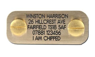 Engraved Bolt on dog ID plate Polished Brass  50mm x 20mm