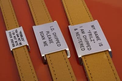 Engraved Collar Agility tags