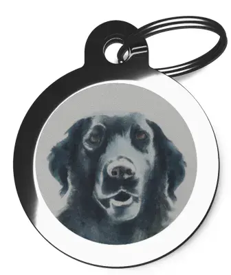 Flat Coated Retriever