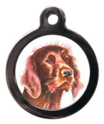 Irish Setter
