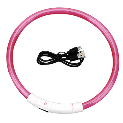 Luminous LED Dog Collar - Adjustable, Rechargeable & Safety Feature