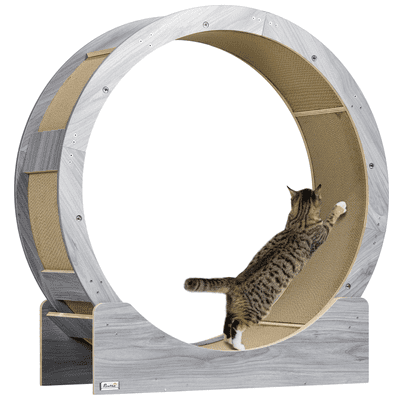 PawHut Cat Wheel with Brake, Scratching Pads