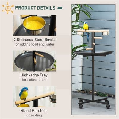 Pet Bird Parrot, Parakeet Stand