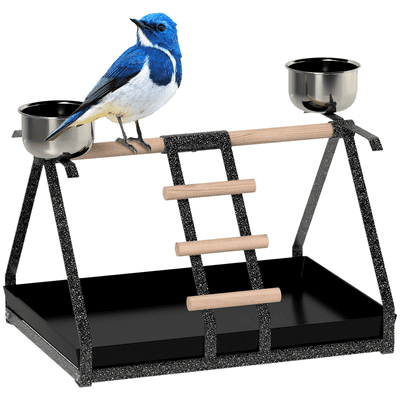 Portable Bird Stand   Stainless Steel Base