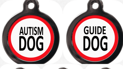 Rescue Dog