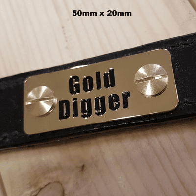 Solid Brass  Engraved Head collar nameplate 20mm