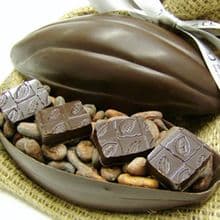 THE UK'S FIRST PURE WILD CHOCOLATE - 10.05.2008