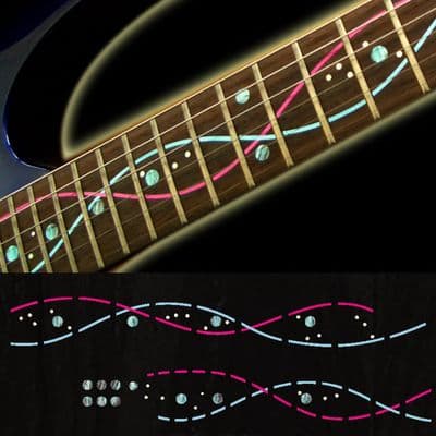 DNA Line / Steve Vai  Fret Markers Inlay Sticker Decal Guitar