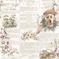 49 and Market 12x12 Collection Pack - The Looking Glass