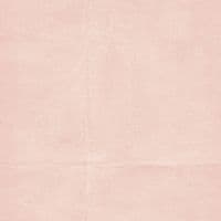 49 and Market 12x12 Collection Pack - The Looking Glass Solids