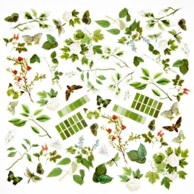 49 And Market Acetate Assortment - Color Swatch: Willow