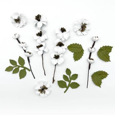 49 and Market Flowers - Wildflowers - Salt